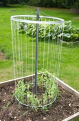 Suited To The Seasons Bike Wheel Trellis